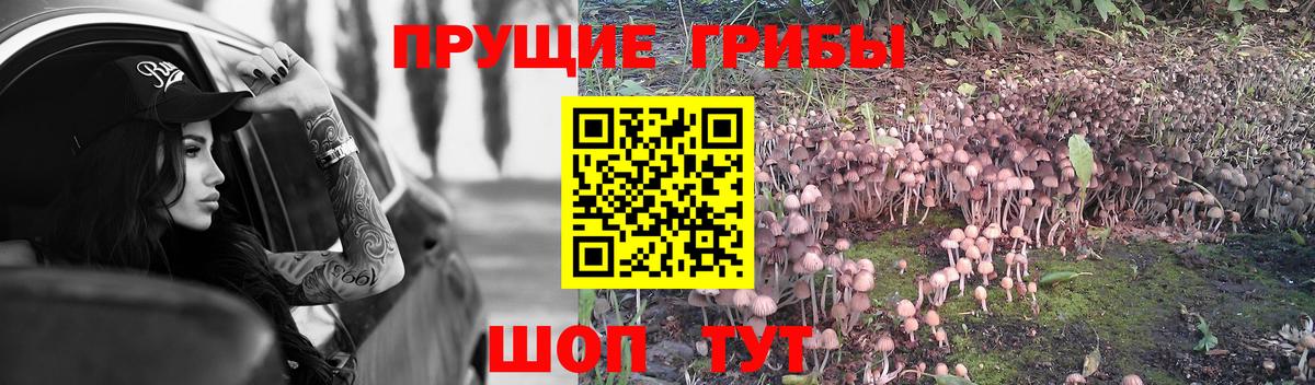 Галлюциногенные грибы прущие грибы Новокубанск